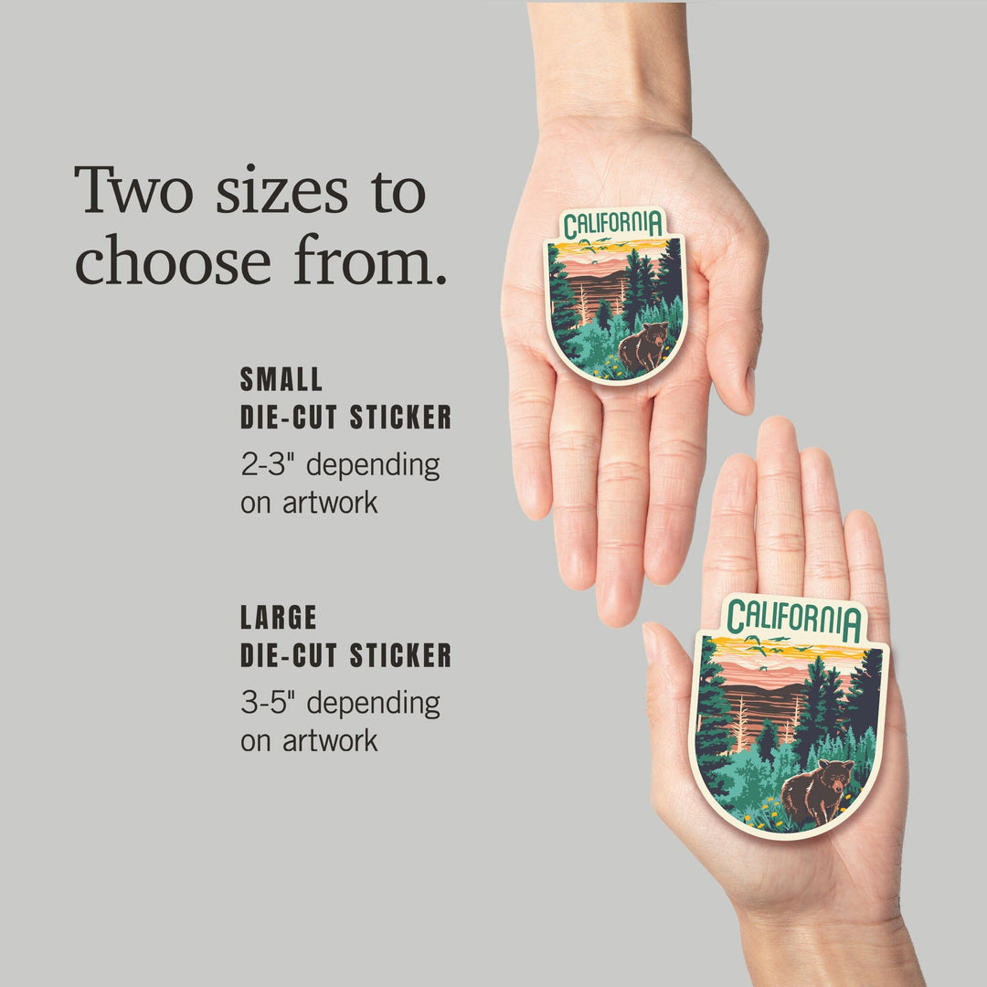 California, Explorer Series, Bear, Contour, Vinyl Sticker Sticker Lantern Press 
