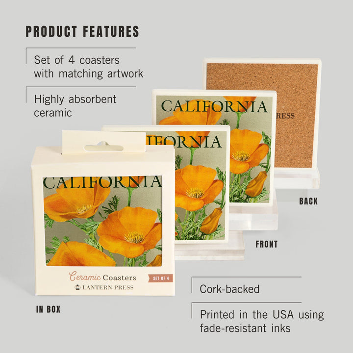 California, Poppies, Coasters Coasters Lantern Press 