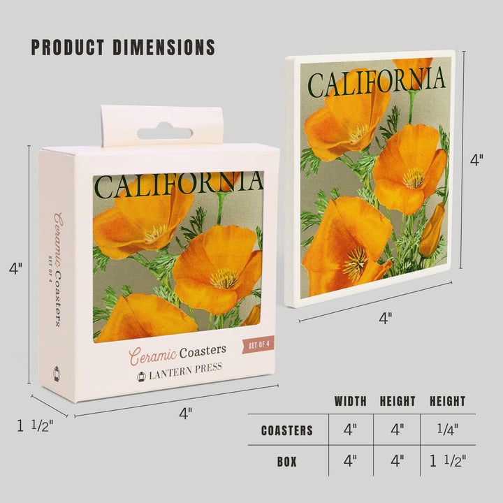 California, Poppies, Coasters Coasters Lantern Press 