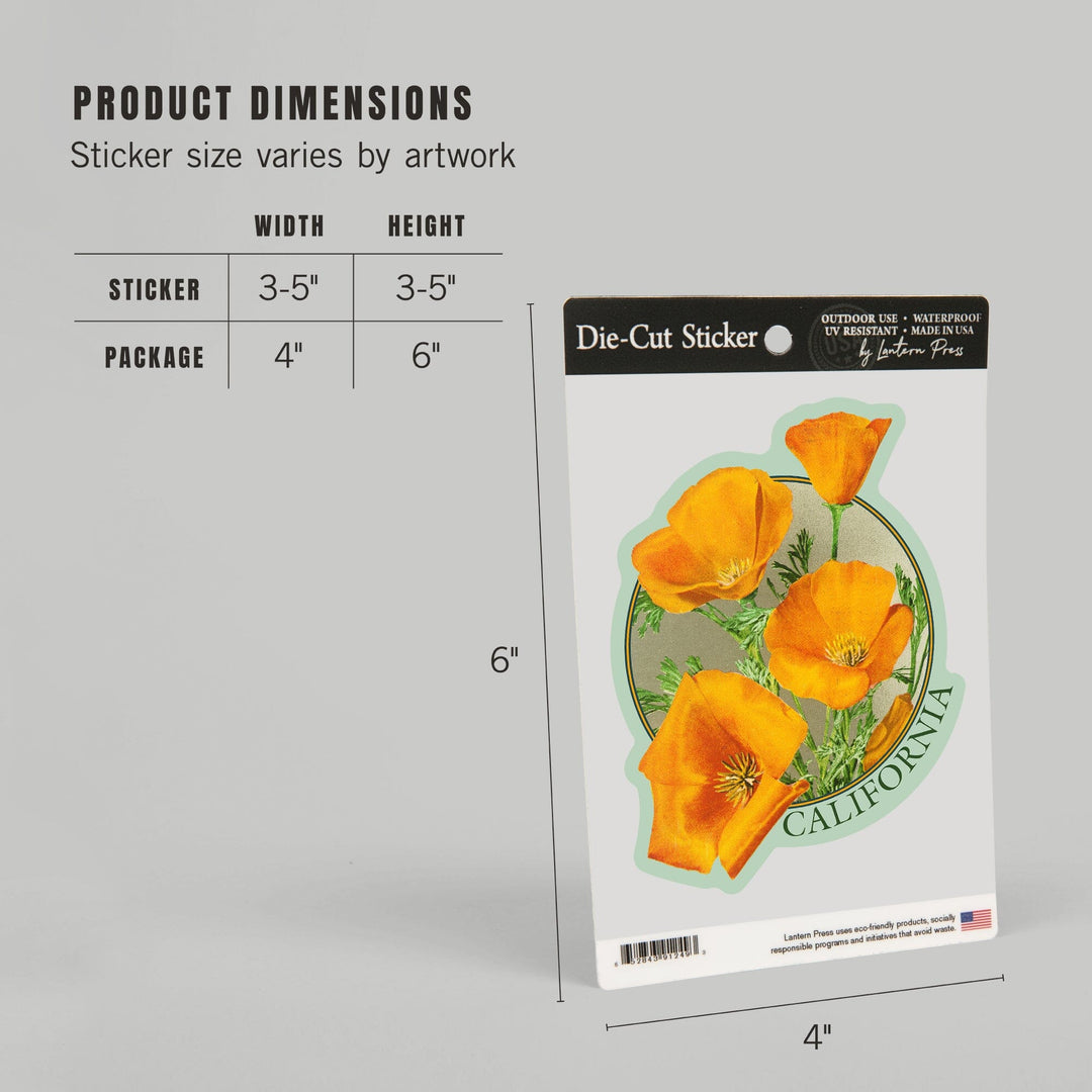 California, Poppy Flowers, Contour, Lantern Press Artwork, Vinyl Sticker - Lantern Press