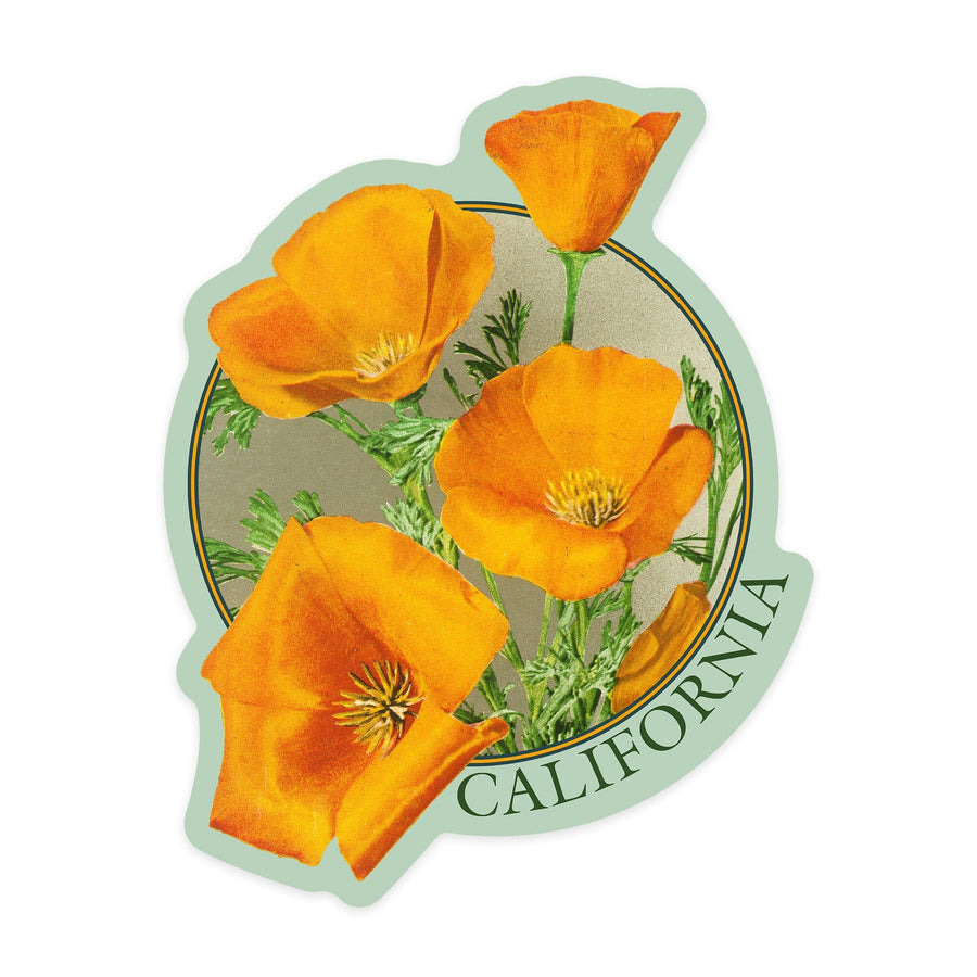 California, Poppy Flowers, Contour, Lantern Press Artwork, Vinyl Sticker - Lantern Press