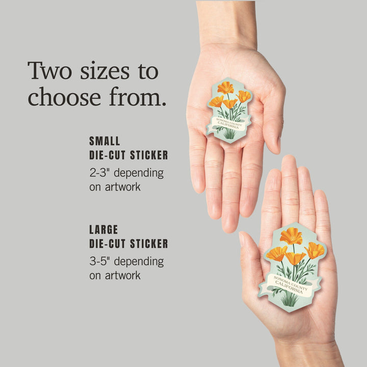 California Poppy, Vintage Flora, Contour, Vinyl Sticker Sticker Lantern Press 