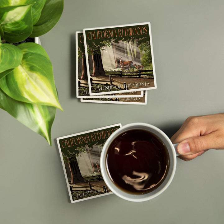 California Redwoods, Avenue of the Giants, Deer & Fawns, Lantern Press Artwork, Coaster Set - Lantern Press