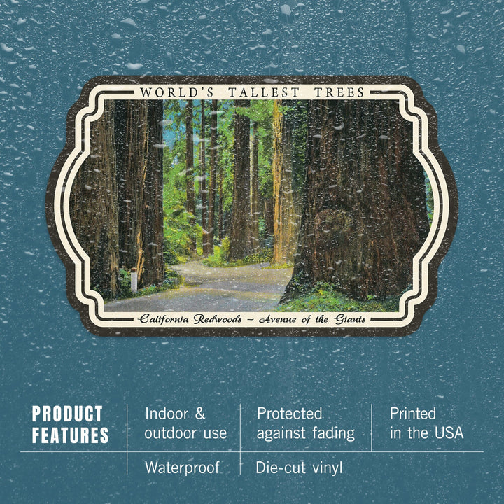 California Redwoods, Avenue of the Giants, Worlds Tallest Trees, Vintage Art, Vinyl Sticker Sticker Lantern Press 