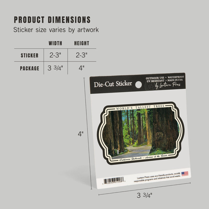 California Redwoods, Avenue of the Giants, Worlds Tallest Trees, Vintage Art, Vinyl Sticker Sticker Lantern Press 