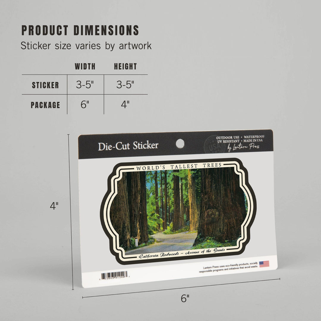 California Redwoods, Avenue of the Giants, Worlds Tallest Trees, Vintage Art, Vinyl Sticker Sticker Lantern Press 