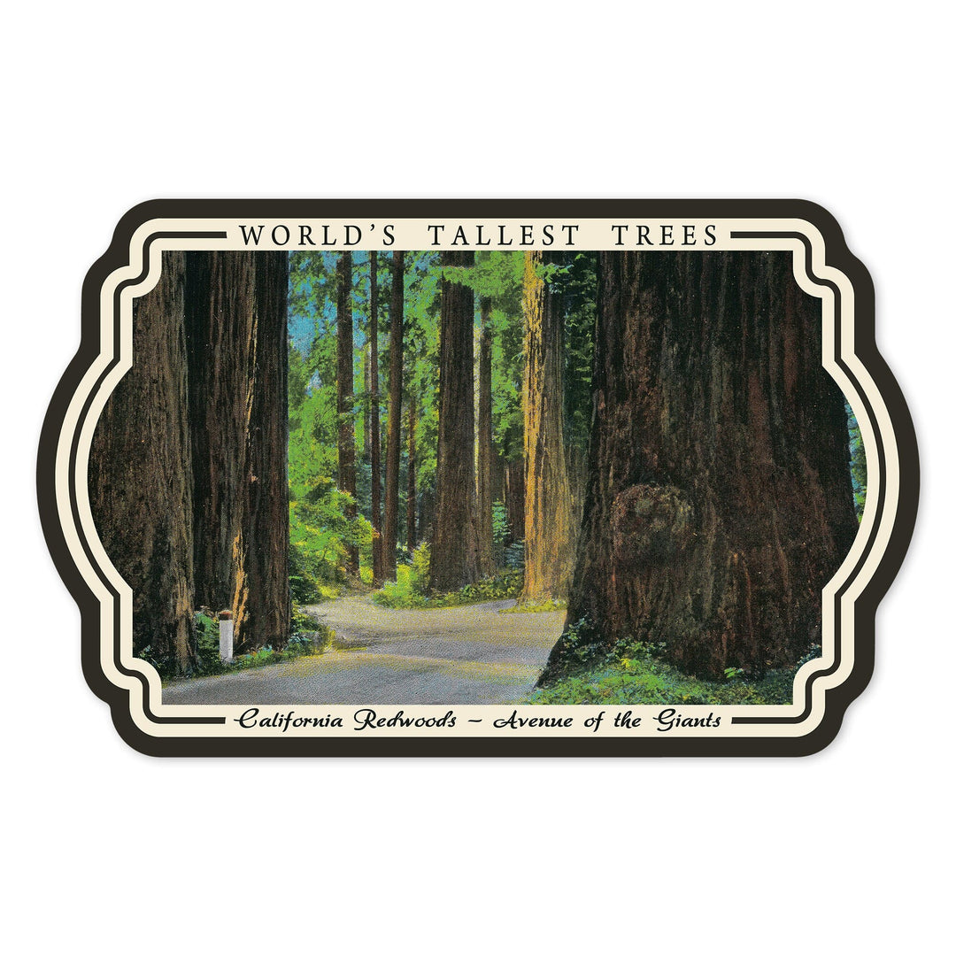 California Redwoods, Avenue of the Giants, Worlds Tallest Trees, Vintage Art, Vinyl Sticker Sticker Lantern Press 