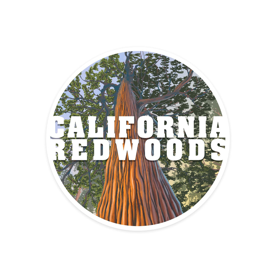 California Redwoods, Looking Up Tree, Contour, Vinyl Sticker Sticker Lantern Press 