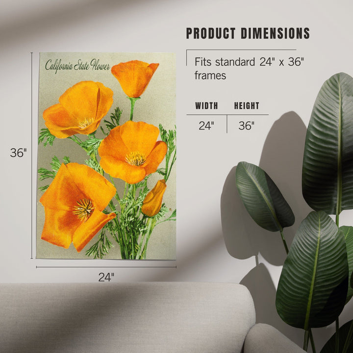 California State Flower, The Californian, Poppy Flowers, Art & Giclee Prints Art Lantern Press 
