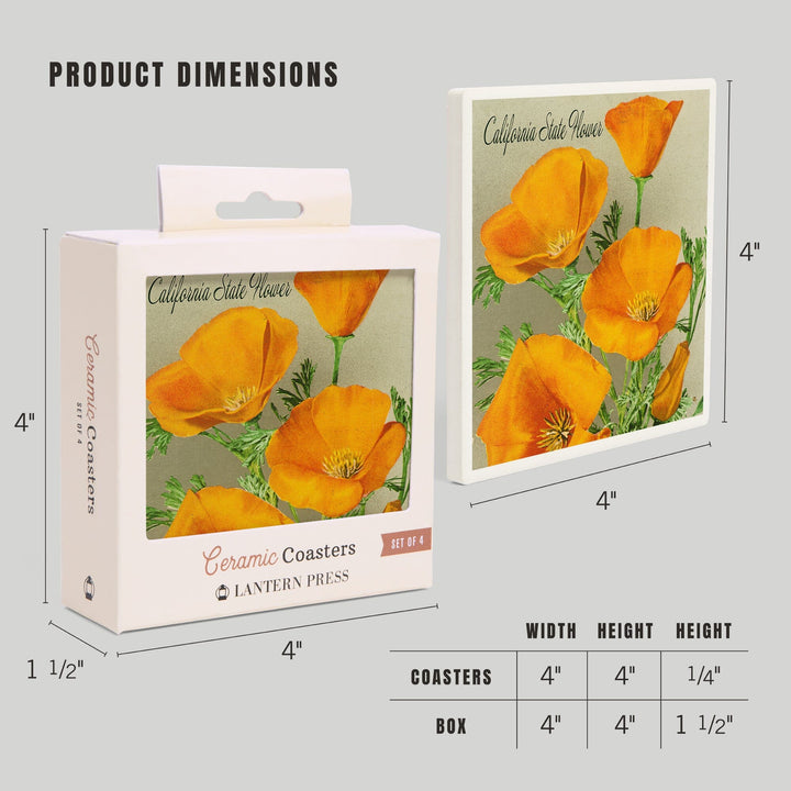 California State Flower, The Californian, Poppy Flowers, Lantern Press Artwork, Coaster Set - Lantern Press