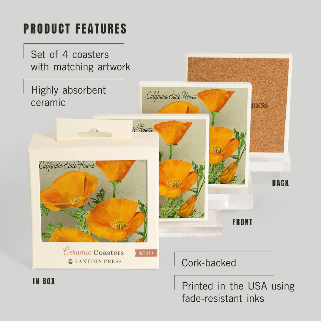 California State Flower, The Californian, Poppy Flowers, Lantern Press Artwork, Coaster Set - Lantern Press