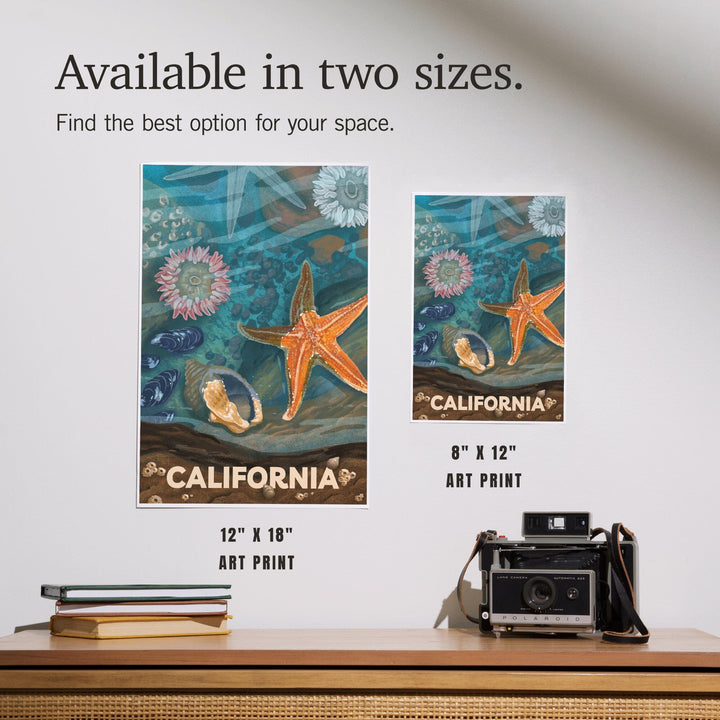 California, Tiny World Huge Wonders, Coastal Series, Starfish and Shells, Art & Giclee Prints Art Lantern Press 