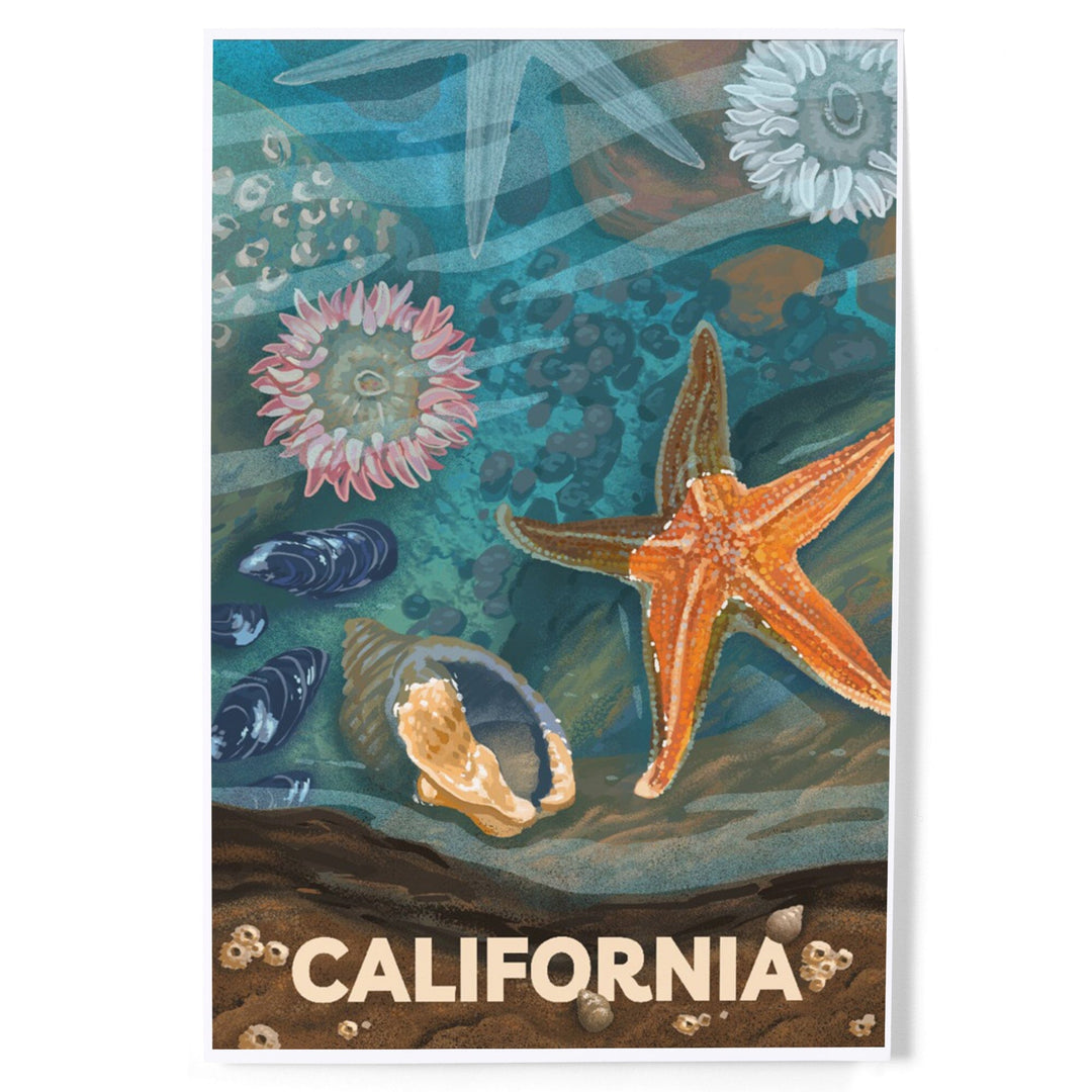 California, Tiny World Huge Wonders, Coastal Series, Starfish and Shells, Art & Giclee Prints Art Lantern Press 