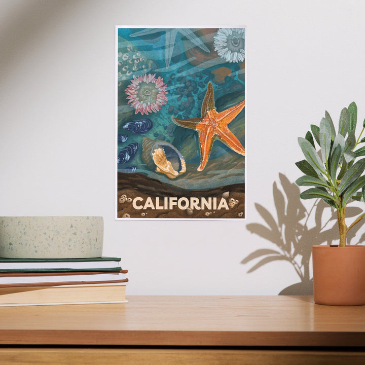 California, Tiny World Huge Wonders, Coastal Series, Starfish and Shells, Art & Giclee Prints Art Lantern Press 