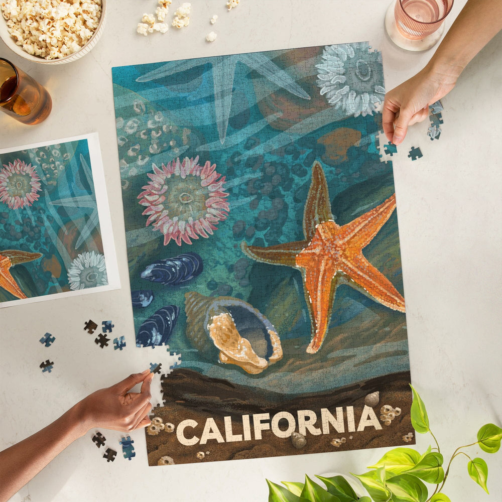 California, Tiny World Huge Wonders, Coastal Series, Starfish and Shells, Jigsaw Puzzle Puzzle Lantern Press 