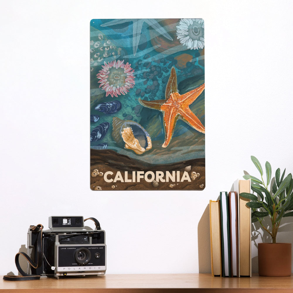 California, Tiny World Huge Wonders, Coastal Series, Starfish and Shells, Metal Signs Metal Lantern Press 