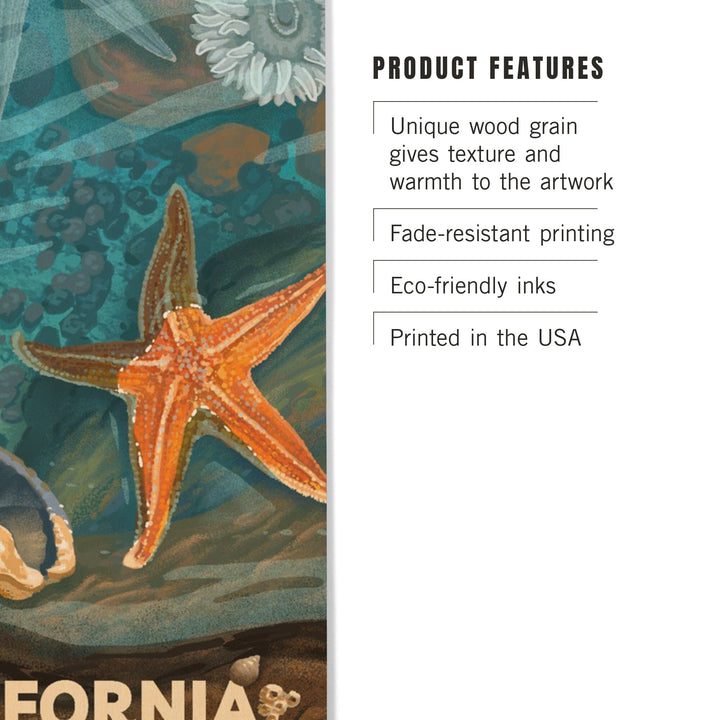 California, Tiny World Huge Wonders, Coastal Series, Starfish and Shells, Wood Signs and Postcards Wood Lantern Press 