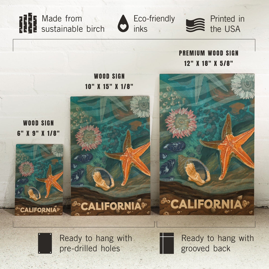 California, Tiny World Huge Wonders, Coastal Series, Starfish and Shells, Wood Signs and Postcards Wood Lantern Press 