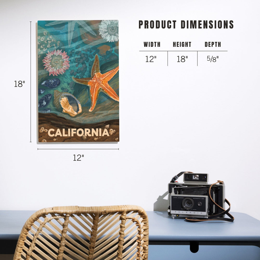 California, Tiny World Huge Wonders, Coastal Series, Starfish and Shells, Wood Signs and Postcards Wood Lantern Press 