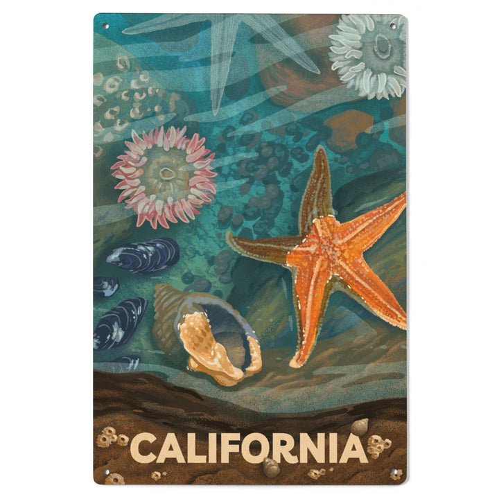 California, Tiny World Huge Wonders, Coastal Series, Starfish and Shells, Wood Signs and Postcards Wood Lantern Press 