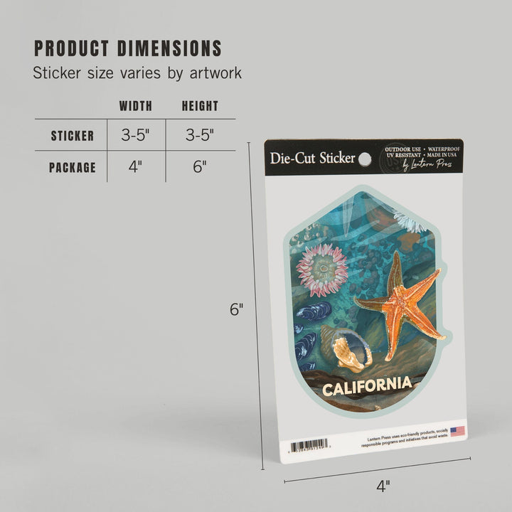 California, Tiny World Huge Wonders, Painterly, Starfish and Shells, Contour, Vinyl Sticker Sticker Lantern Press 