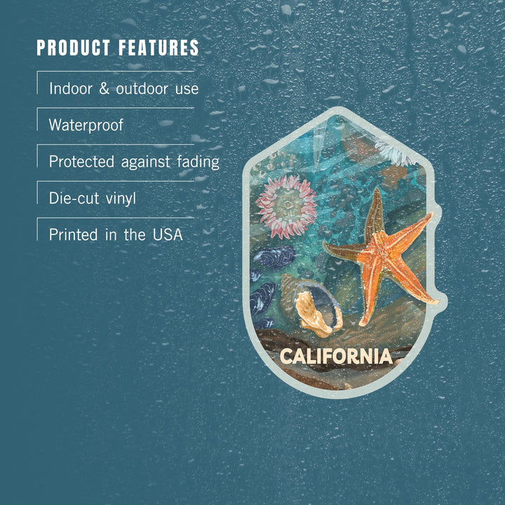 California, Tiny World Huge Wonders, Painterly, Starfish and Shells, Contour, Vinyl Sticker Sticker Lantern Press 