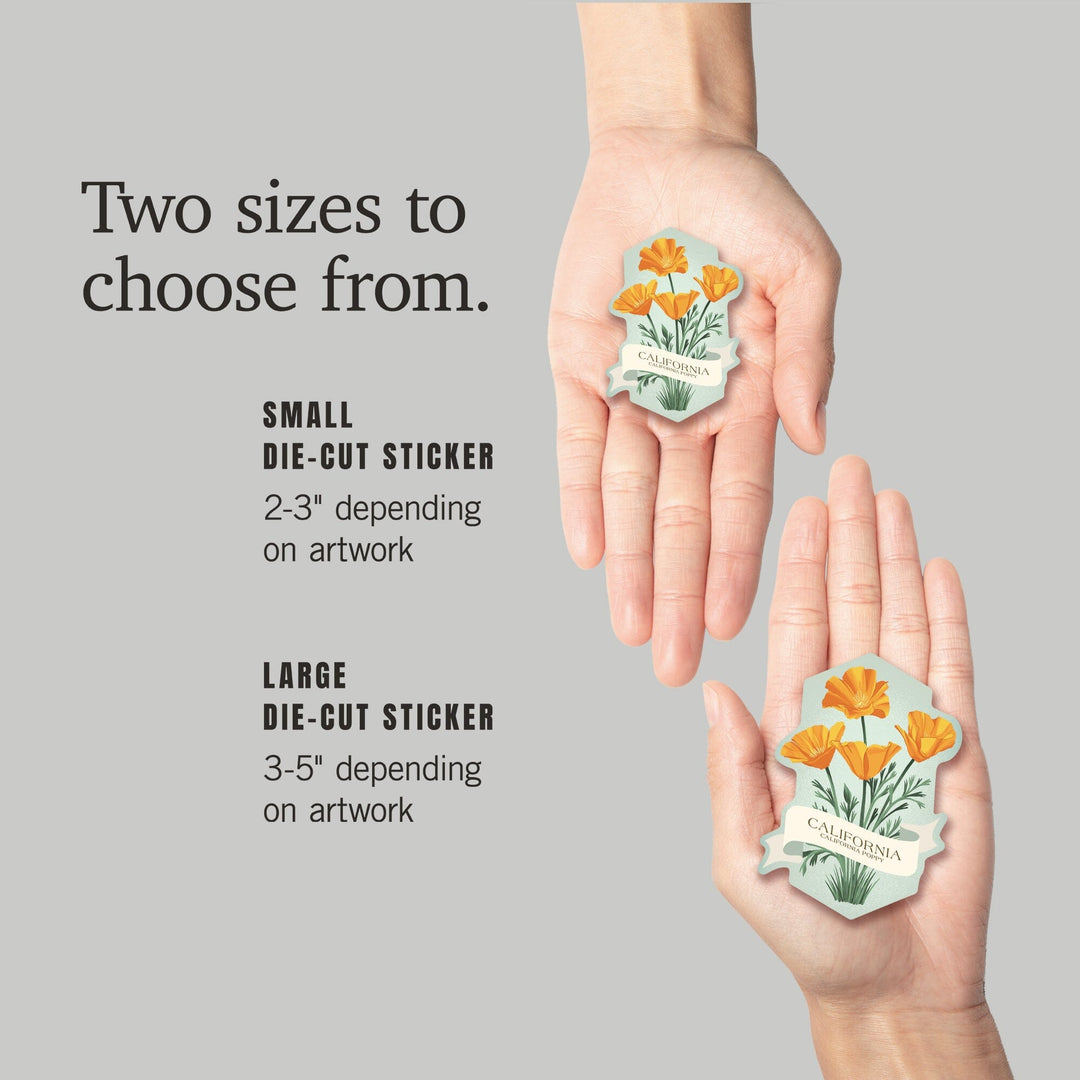 California, Vintage Flora, State Series, Poppy, Contour, Vinyl Sticker Sticker Lantern Press 