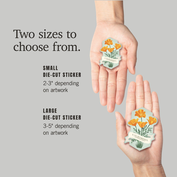 California, Vintage Flora, State Series, Poppy, Contour, Vinyl Sticker Sticker Lantern Press 