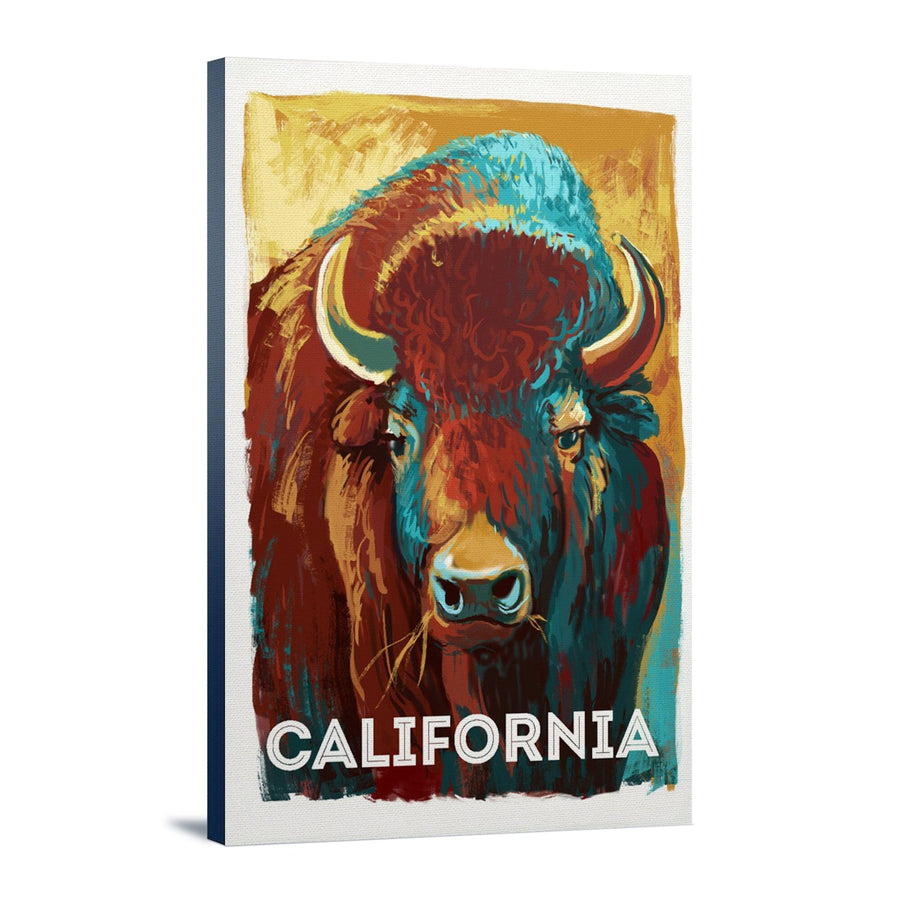 California, Vivid, Bison, Stretched Canvas Canvas Lantern Press 