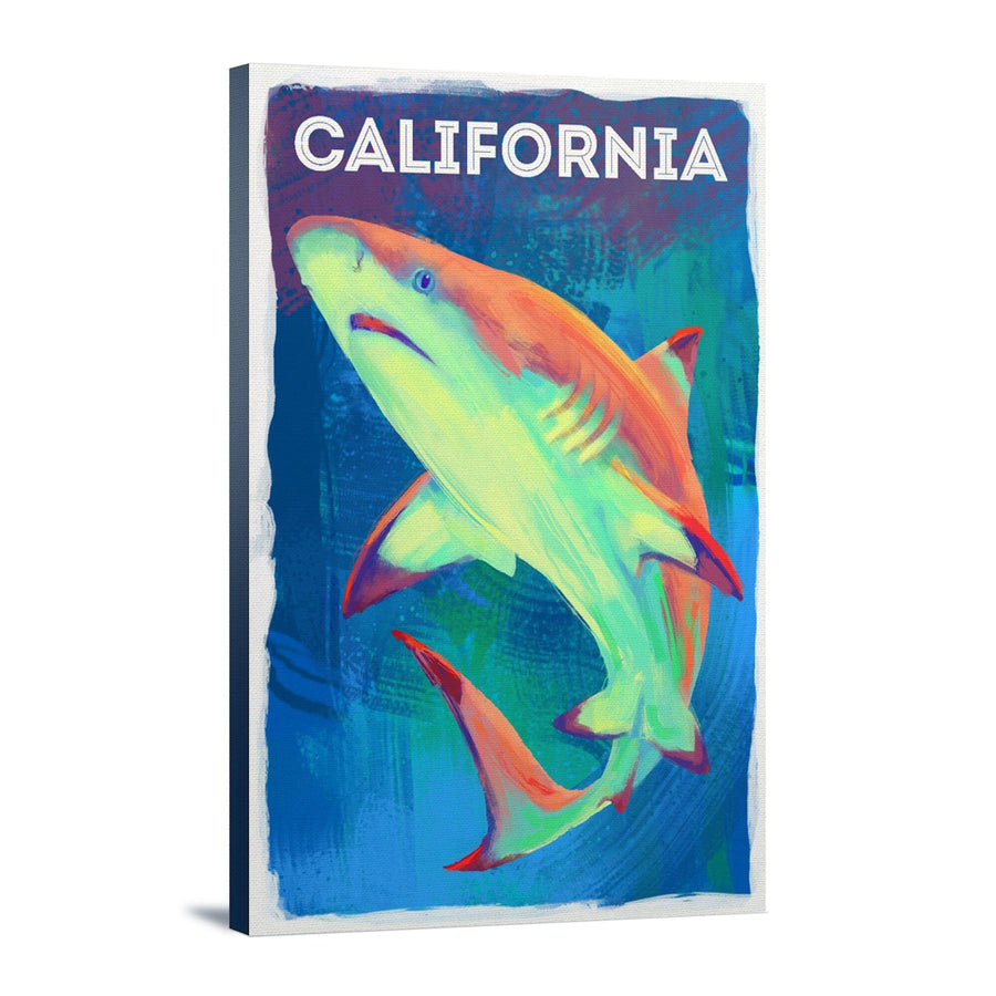 California, Vivid, Blacktip Shark, Stretched Canvas Canvas Lantern Press 