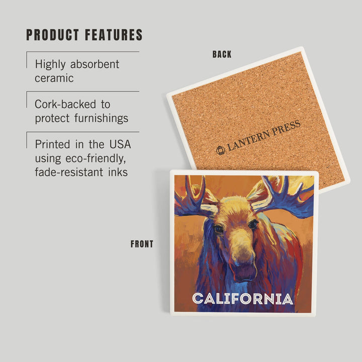 California, Vivid, Moose, Coasters Coasters Lantern Press 