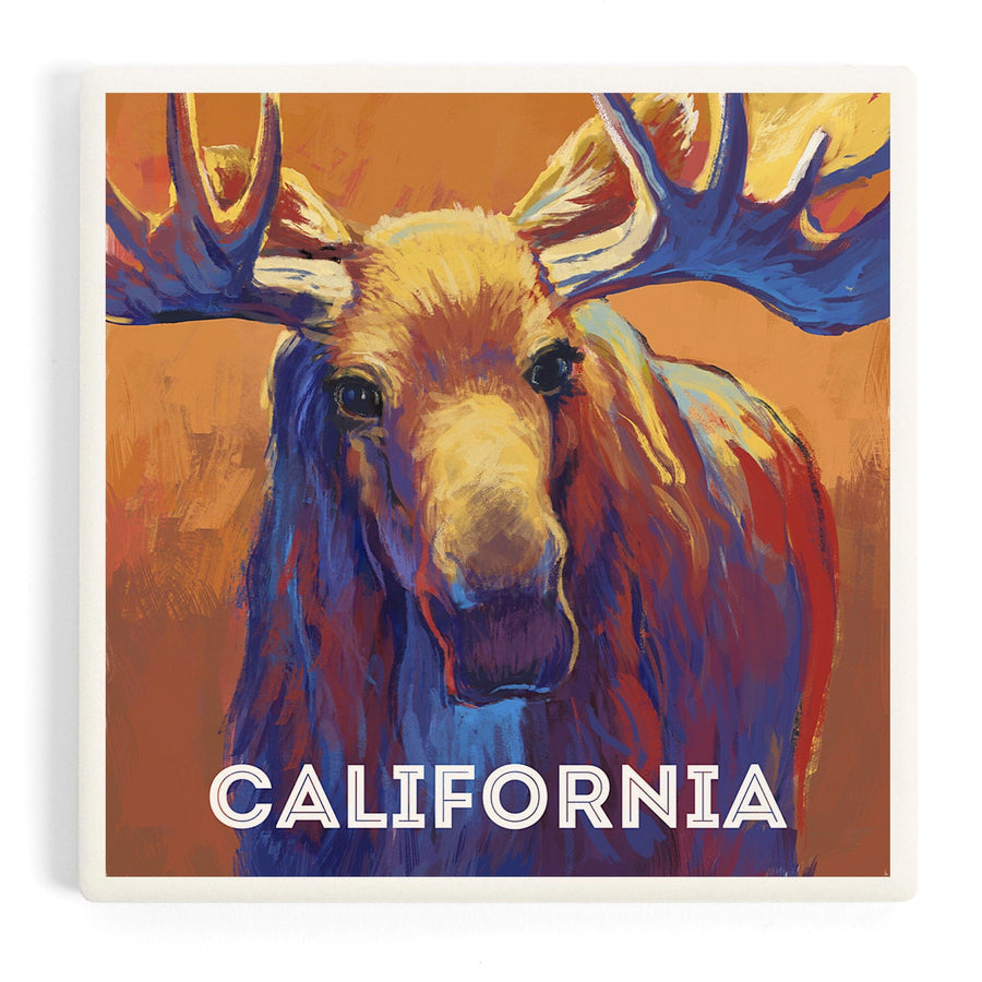 California, Vivid, Moose, Coasters Coasters Lantern Press 