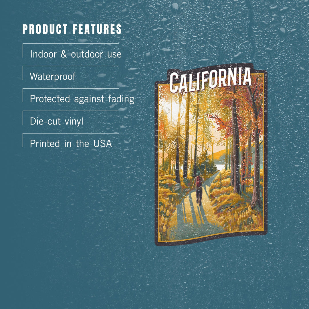 California, Walk In The Woods, Day Hike, Fall, Contour, Vinyl Sticker Sticker Lantern Press 