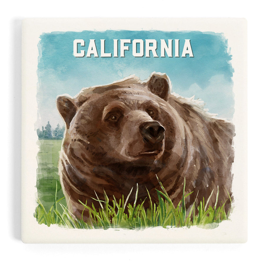 California, Watercolor Study, Grizzly Bear, Coasters Coasters Lantern Press 