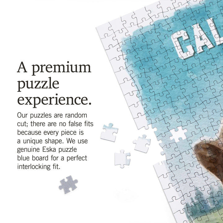 California, Watercolor Study, Grizzly Bear, Jigsaw Puzzle Puzzle Lantern Press 