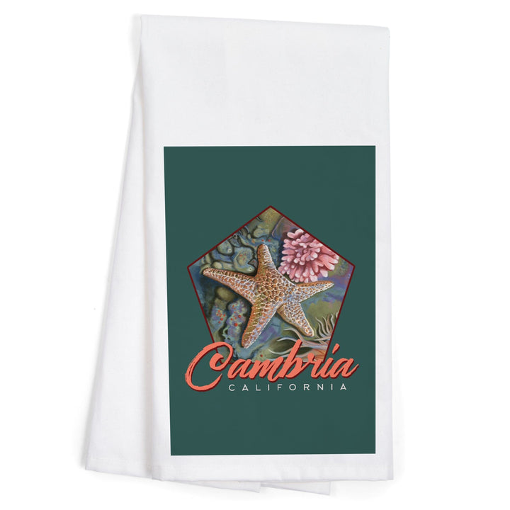 Cambria, California, Tidepool, Contour, Organic Cotton Kitchen Tea Towels - Lantern Press