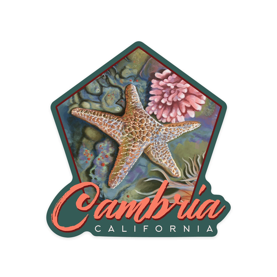 Cambria, California, Tidepool, Contour, Vinyl Sticker - Lantern Press