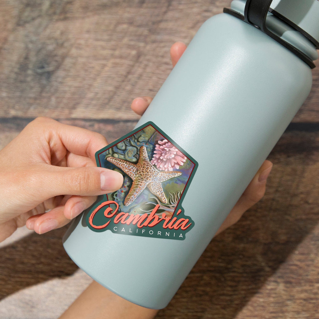 Cambria, California, Tidepool, Contour, Vinyl Sticker - Lantern Press