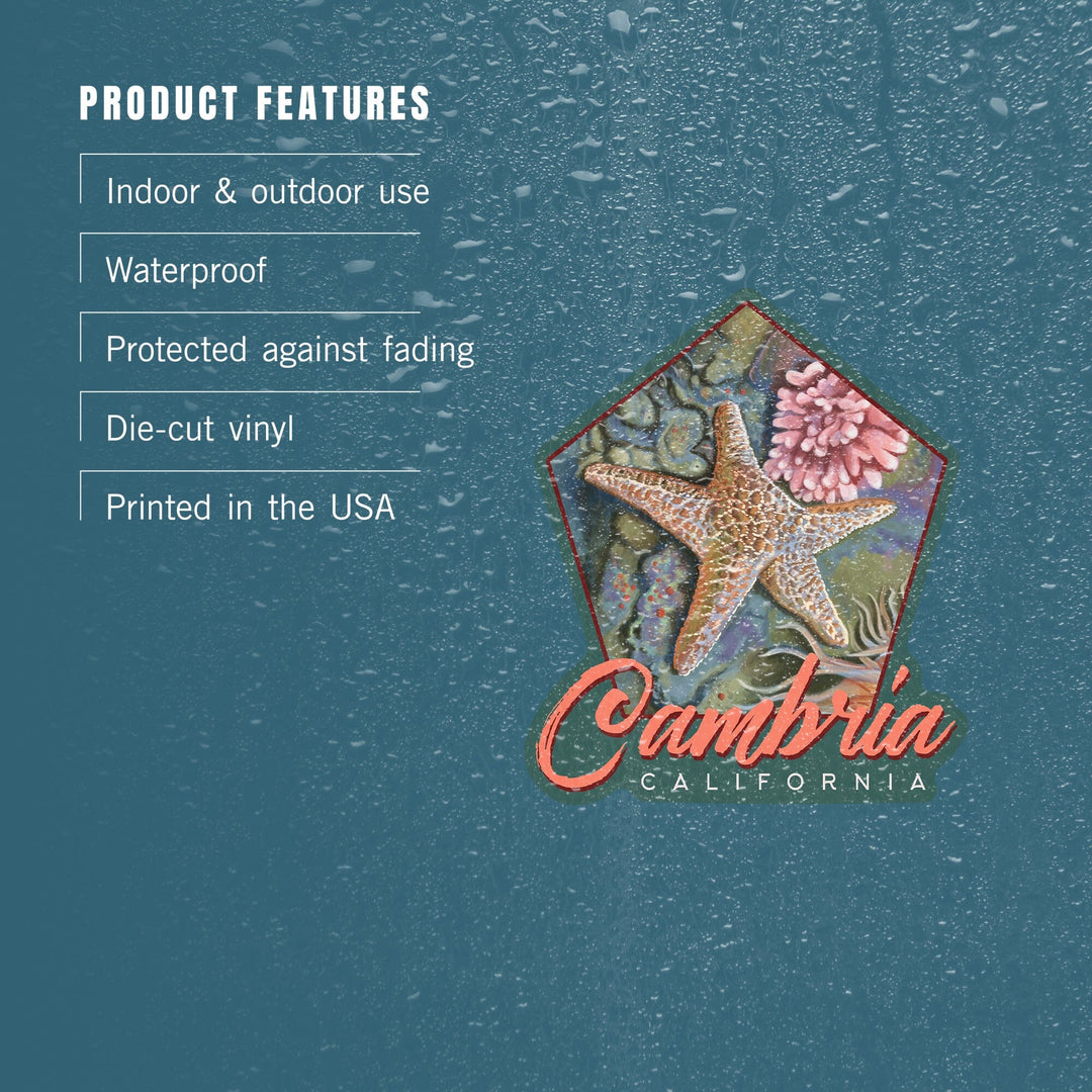 Cambria, California, Tidepool, Contour, Vinyl Sticker - Lantern Press