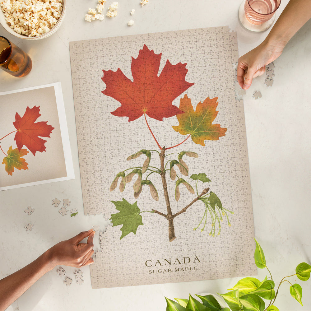 Canada, Vintage Flora, Sugar Maple, Jigsaw Puzzle Puzzle Lantern Press 