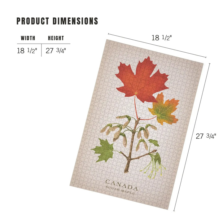 Canada, Vintage Flora, Sugar Maple, Jigsaw Puzzle Puzzle Lantern Press 