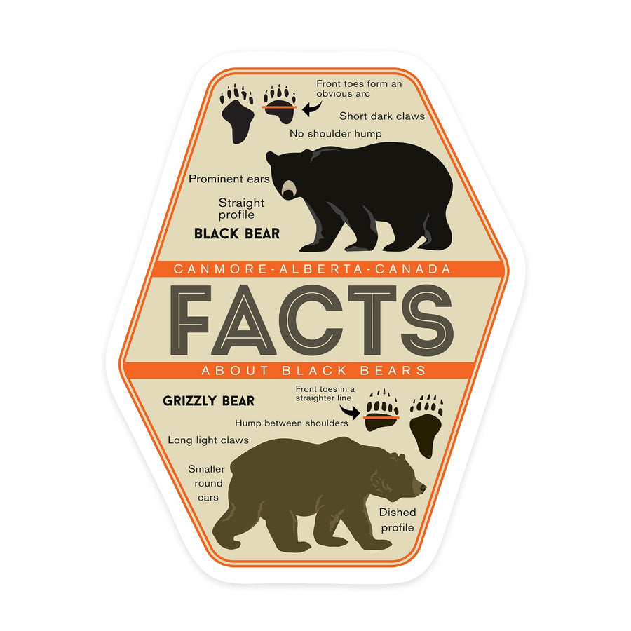 Canmore, Alberta, Canada, Facts About Bears, Grizzly and Black Bear, Contour, Vinyl Sticker - Lantern Press