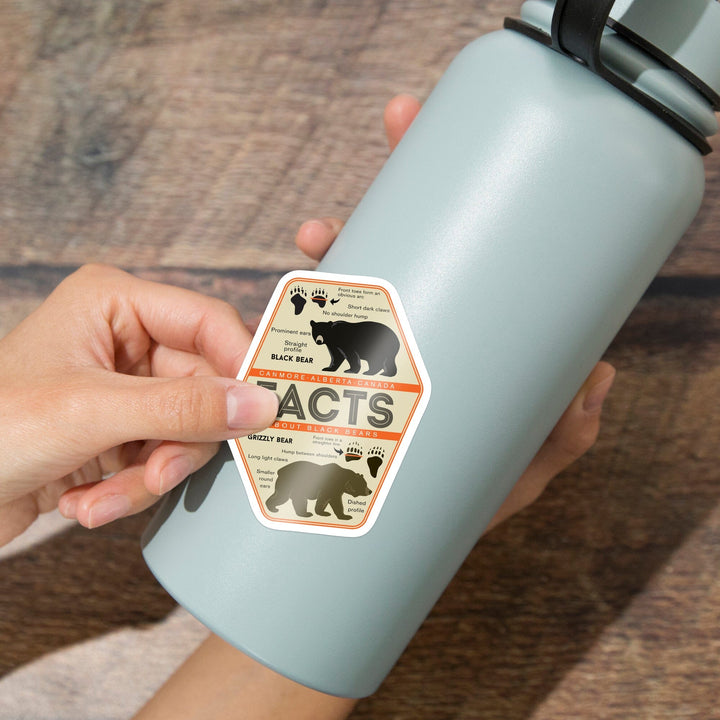 Canmore, Alberta, Canada, Facts About Bears, Grizzly and Black Bear, Contour, Vinyl Sticker - Lantern Press