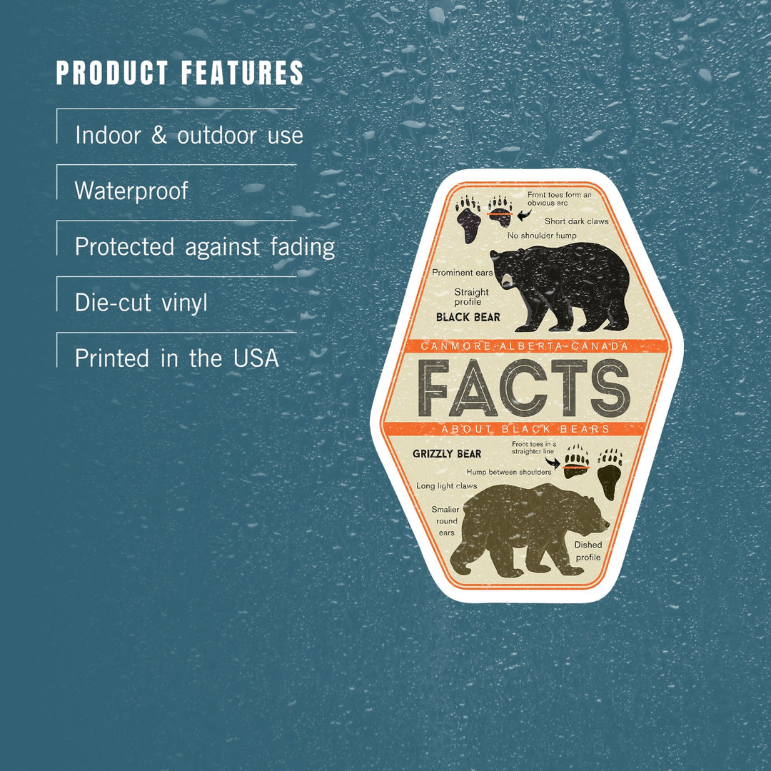 Canmore, Alberta, Canada, Facts About Bears, Grizzly and Black Bear, Contour, Vinyl Sticker - Lantern Press