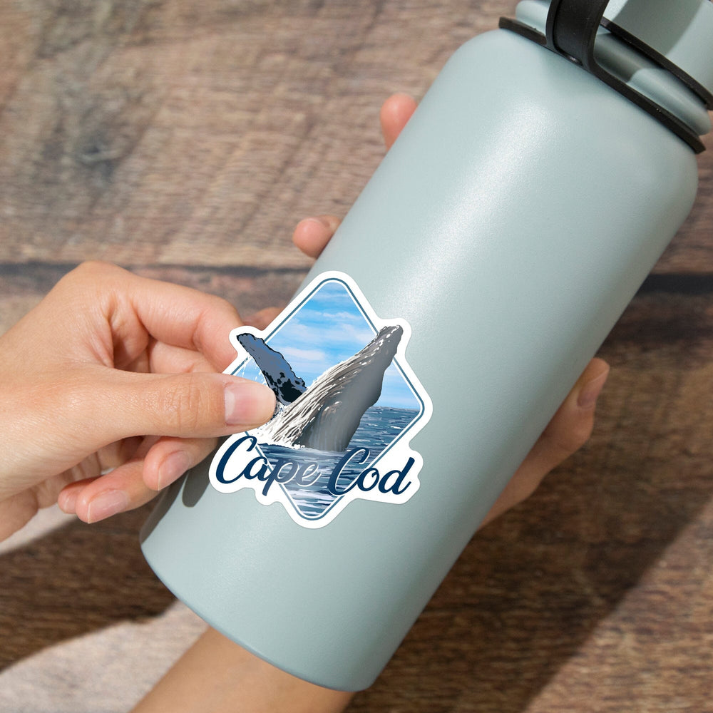 Cape Cod, Massachusetts, Humpback Whale, Contour, Vinyl Sticker Sticker Lantern Press 