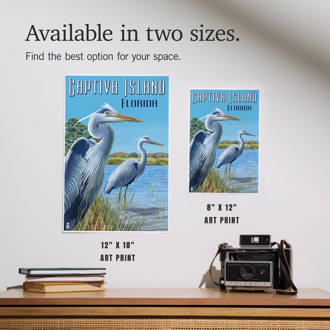 Captiva Island, Florida, Blue Herons in grass, Art & Giclee Prints Art Lantern Press 