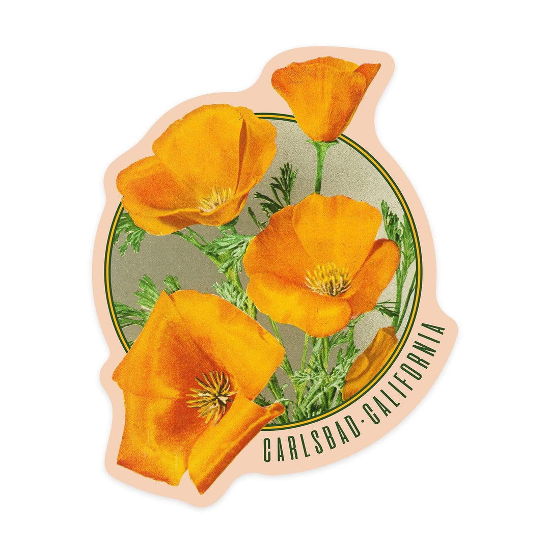Carlsbad, California, Poppy Flowers, Vintage Poster, Contour, Vinyl Sticker - Lantern Press