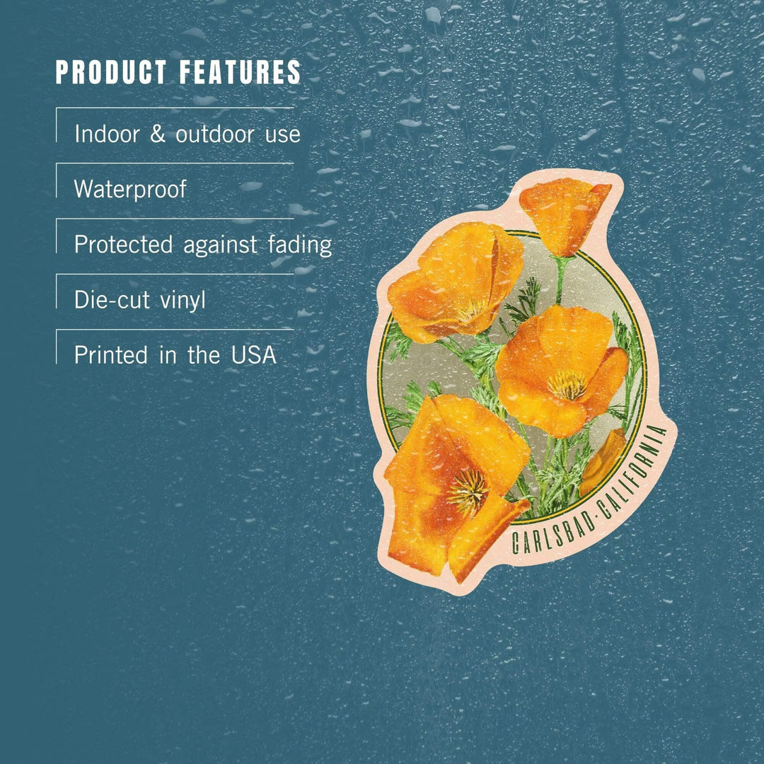 Carlsbad, California, Poppy Flowers, Vintage Poster, Contour, Vinyl Sticker - Lantern Press