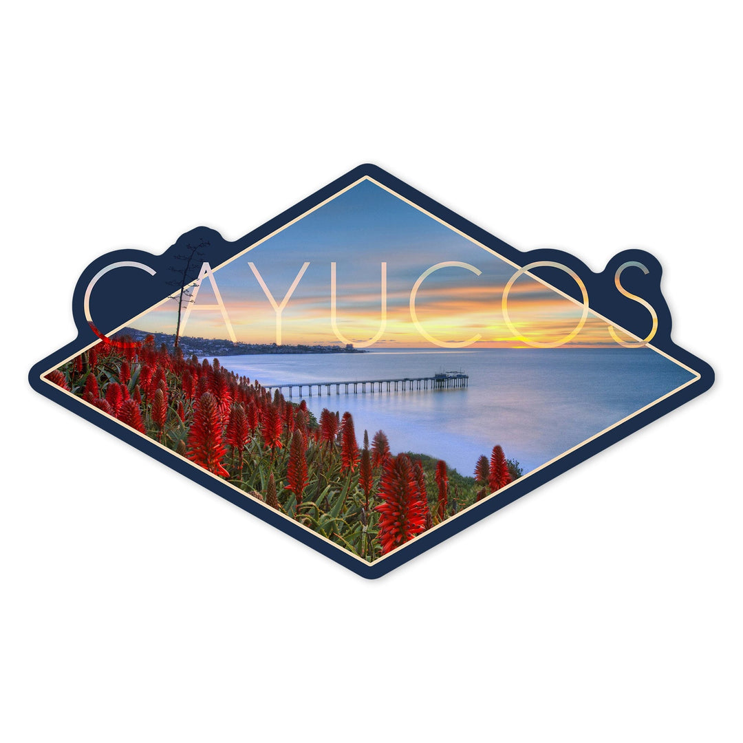 Cayucos, California, Ocean View with Red Aloe Flowers, Contour, Vinyl Sticker - Lantern Press