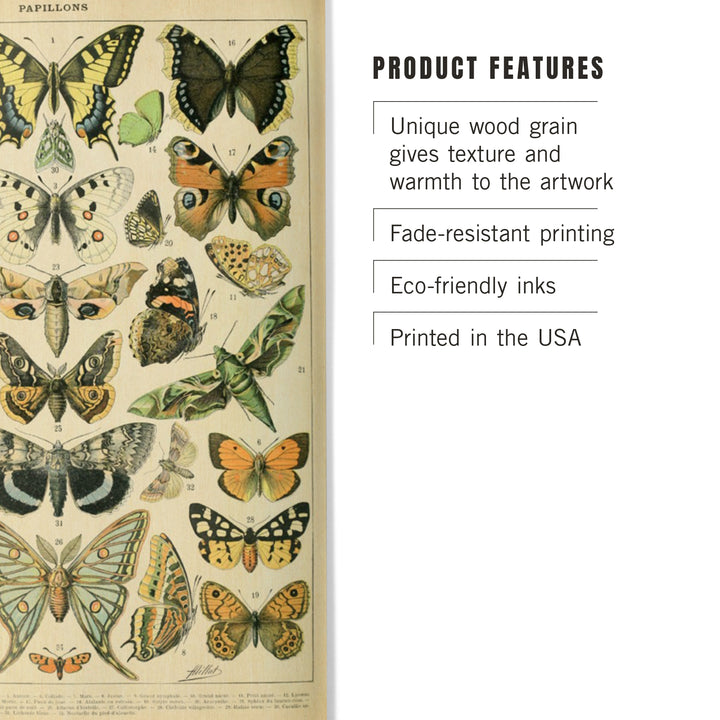 Butterflies, A, Vintage Bookplate, Adolphe Millot, Wood Sign and Postcards